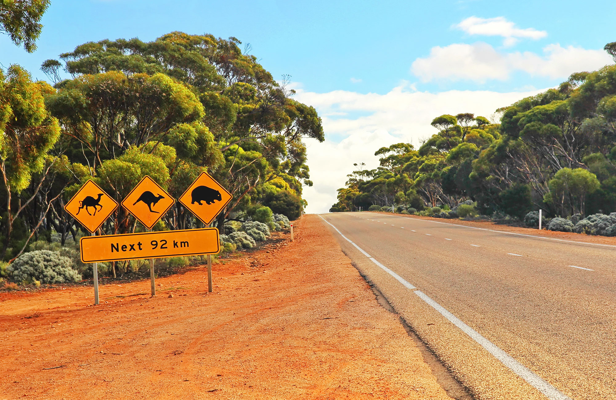 kombiner studier i australia med road trip